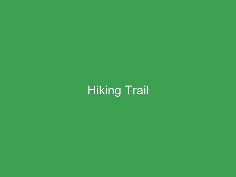 2024-11-10_hiking-trail.jpg